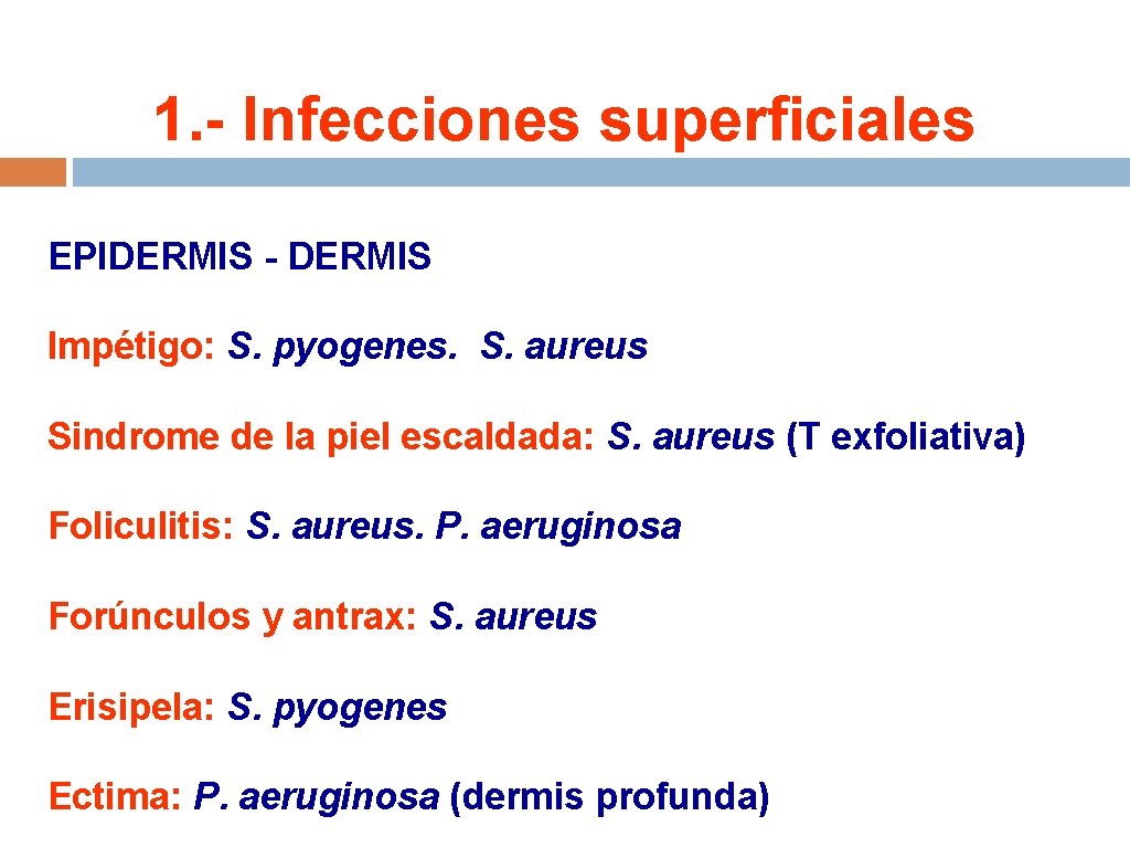 1. - Infecciones superficiales EPIDERMIS - DERMIS Impétigo: S. pyogenes. S. aureus Sindrome de