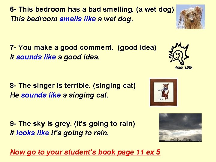 6 - This bedroom has a bad smelling. (a wet dog) This bedroom smells