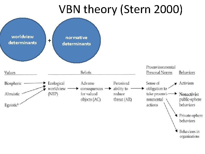 VBN theory (Stern 2000) worldview determinants + normative determinants 