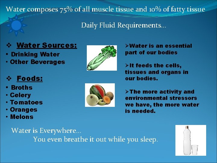 Water composes 75% of all muscle tissue and 10% of fatty tissue Daily Fluid