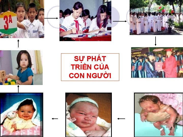 SỰ PHÁT TRIỂN CỦA CON NGƯỜI 