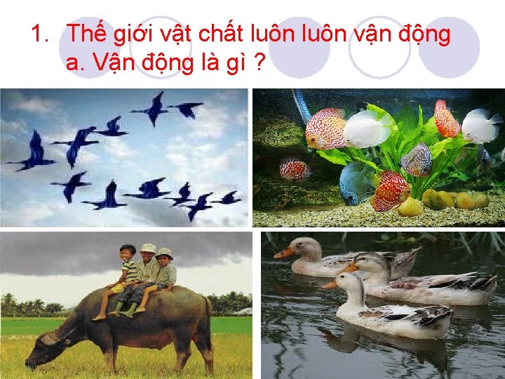 1. Thế giới vật chất luôn vận động a. Vận động là gì ?