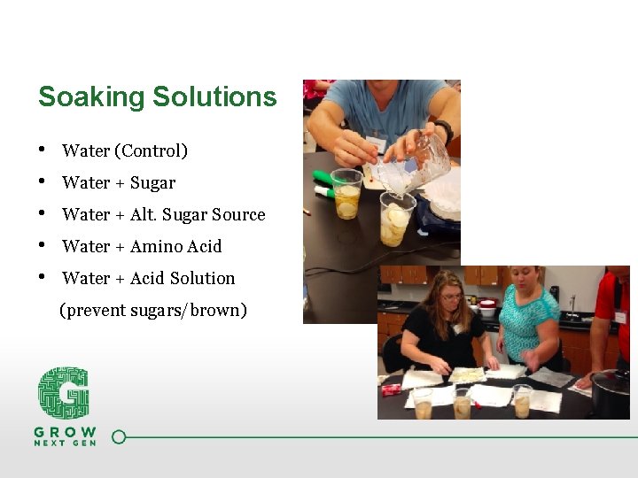 Soaking Solutions • • • Water (Control) Water + Sugar Water + Alt. Sugar