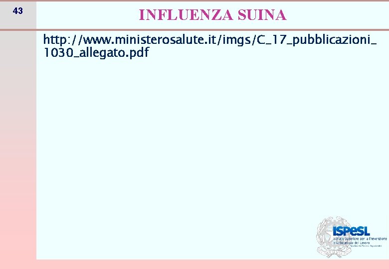 43 INFLUENZA SUINA http: //www. ministerosalute. it/imgs/C_17_pubblicazioni_ 1030_allegato. pdf 