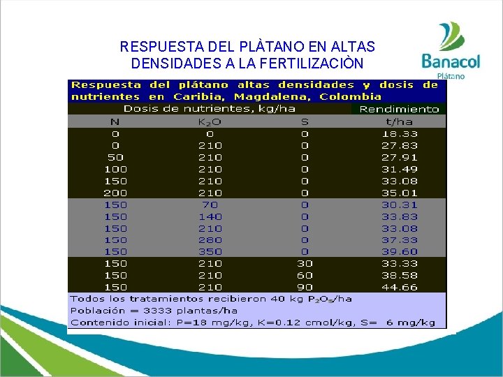 RESPUESTA DEL PLÀTANO EN ALTAS DENSIDADES A LA FERTILIZACIÒN 