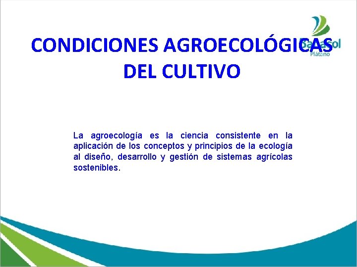 CONDICIONES AGROECOLÓGICAS DEL CULTIVO La agroecología es la ciencia consistente en la aplicación de