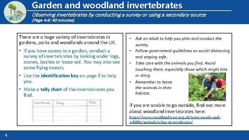 Logo for section to sit inside roundel Garden and woodland invertebrates Observing invertebrates by