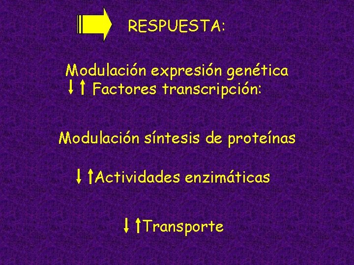 5 RESPUESTA: Modulación expresión genética Factores transcripción: Modulación síntesis de proteínas Actividades enzimáticas Transporte