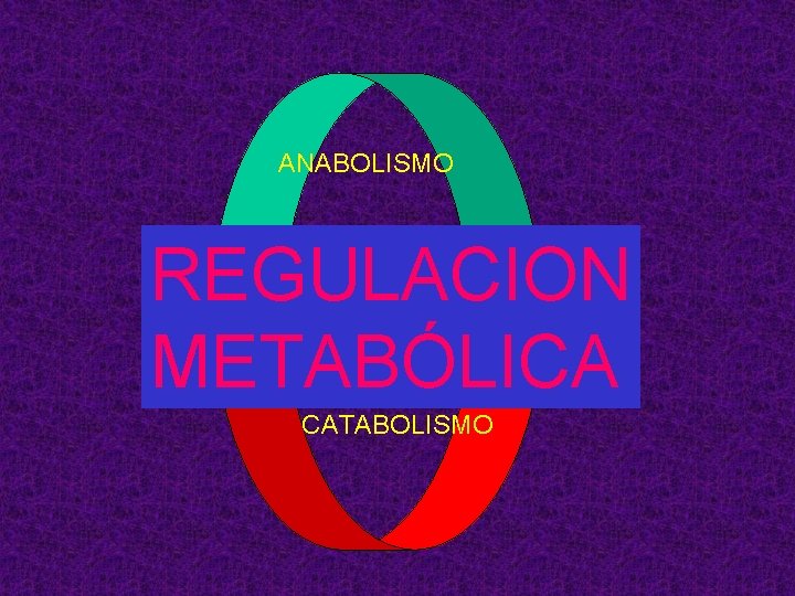 ANABOLISMO REGULACION ATP METABÓLICA CATABOLISMO 