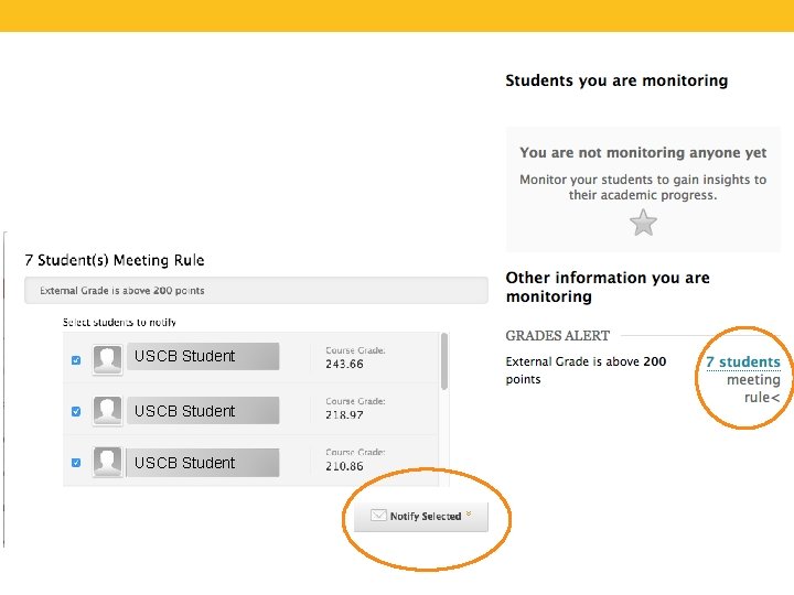USCB Student 