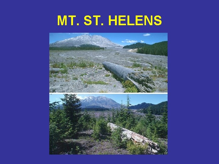 MT. ST. HELENS 