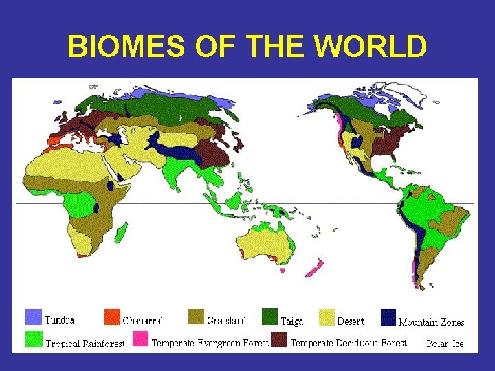 BIOMES OF THE WORLD 