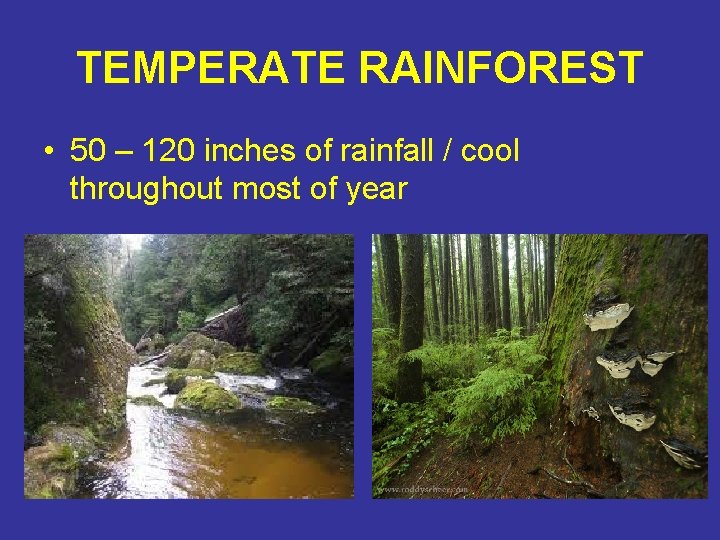 TEMPERATE RAINFOREST • 50 – 120 inches of rainfall / cool throughout most of
