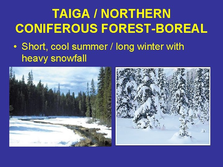 TAIGA / NORTHERN CONIFEROUS FOREST-BOREAL • Short, cool summer / long winter with heavy