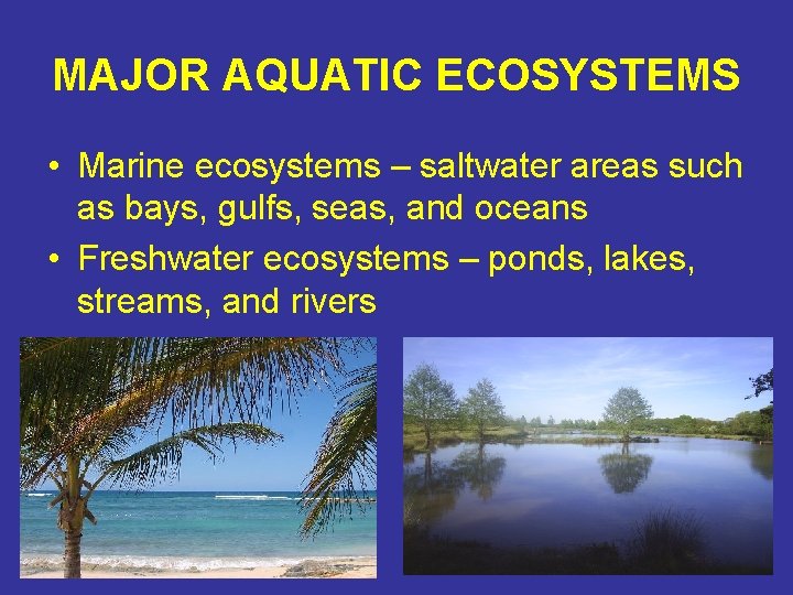 MAJOR AQUATIC ECOSYSTEMS • Marine ecosystems – saltwater areas such as bays, gulfs, seas,