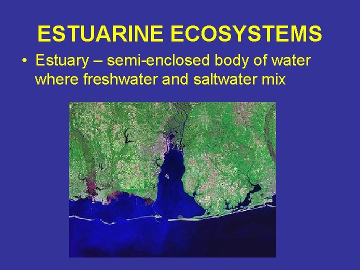ESTUARINE ECOSYSTEMS • Estuary – semi-enclosed body of water where freshwater and saltwater mix