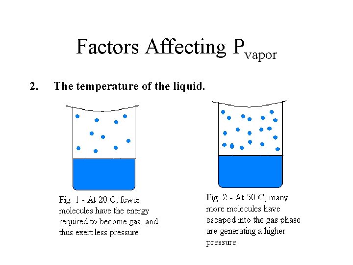 Factors Affecting Pvapor 2. The temperature of the liquid. 
