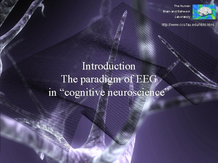 The Human Brain and Behavior Laboratory http: //www. ccs. fau. edu/hbbl. html Introduction The