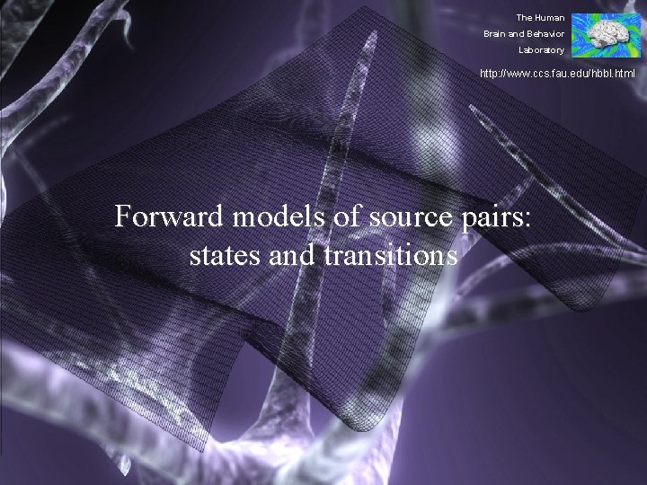 The Human Brain and Behavior Laboratory http: //www. ccs. fau. edu/hbbl. html Forward models