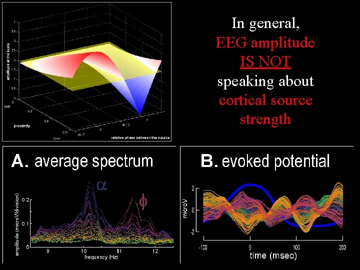 In general, EEG amplitude IS NOT speaking about cortical source strength 