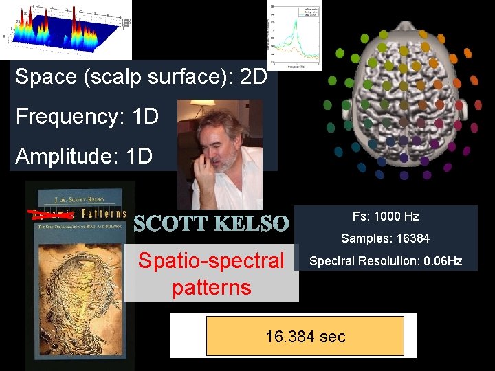 Space (scalp surface): 2 D Frequency: 1 D Amplitude: 1 D Fs: 1000 Hz
