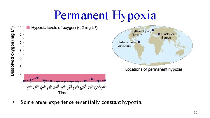 Permanent Hypoxia • Some areas experience essentially constant hypoxia 10 