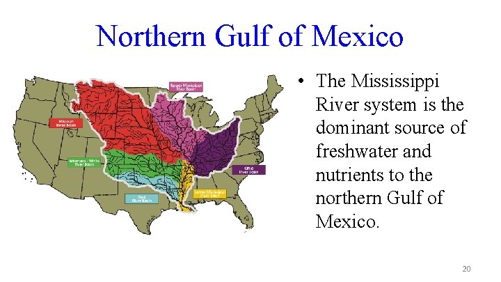 Northern Gulf of Mexico • The Mississippi River system is the dominant source of