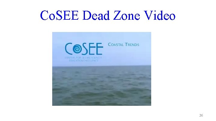Co. SEE Dead Zone Video 26 