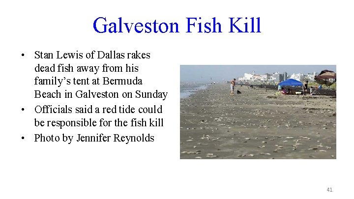Galveston Fish Kill • Stan Lewis of Dallas rakes dead fish away from his