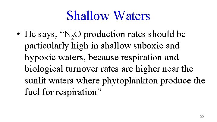 Shallow Waters • He says, “N 2 O production rates should be particularly high