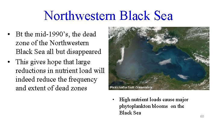 Northwestern Black Sea • Bt the mid-1990’s, the dead zone of the Northwestern Black