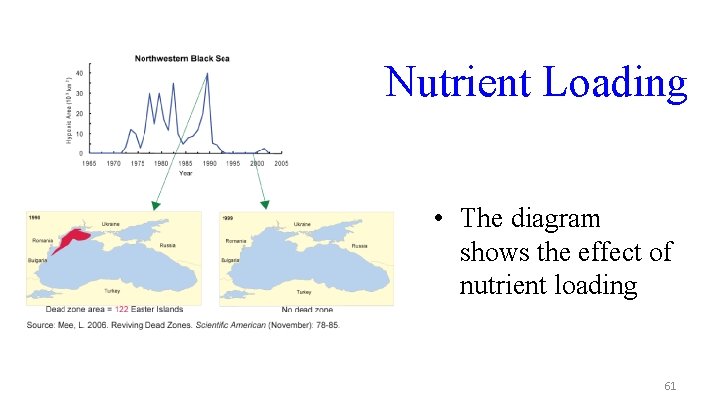 Nutrient Loading • The diagram shows the effect of nutrient loading 61 