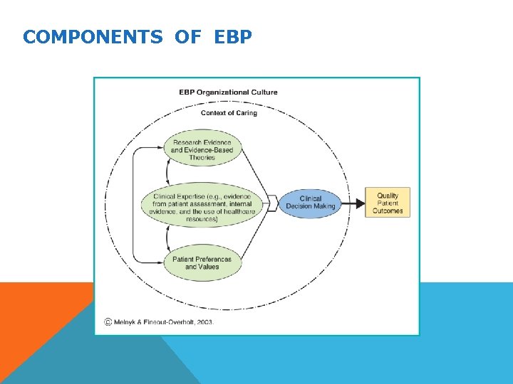 COMPONENTS OF EBP 