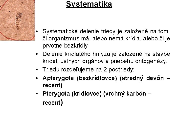 Systematika • Systematické delenie triedy je založené na tom, či organizmus má, alebo nemá