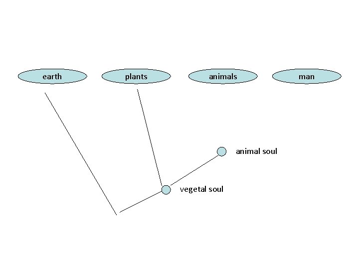 earth plants animal soul vegetal soul man 