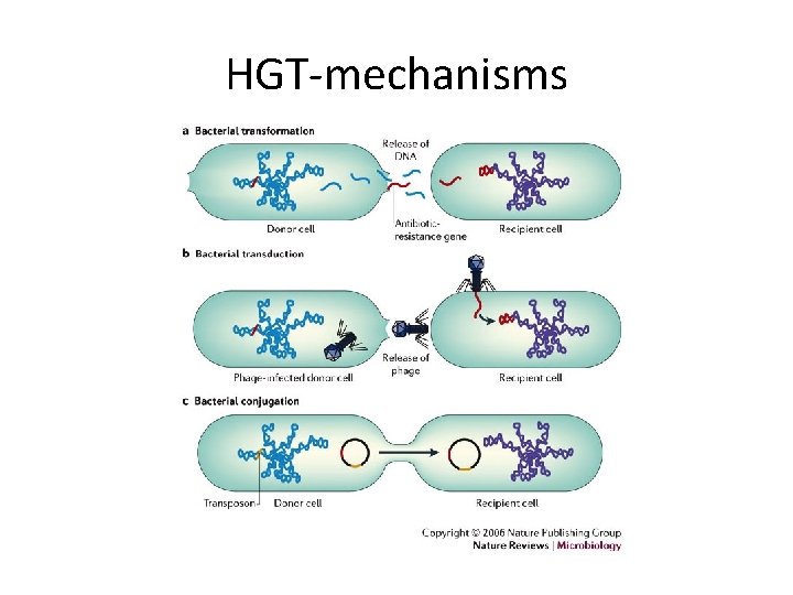 HGT-mechanisms 