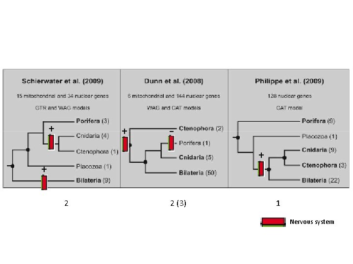 + + 2 2 (3) 1 Nervous system 