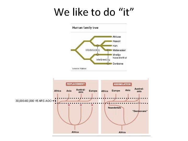 We like to do “it” 30, 000 -60, 000 YEARS AGO 