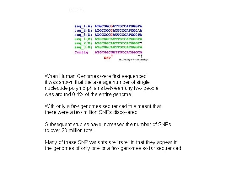 Single Nucleotide Polymorphism When Human Genomes were first sequenced it was shown that the