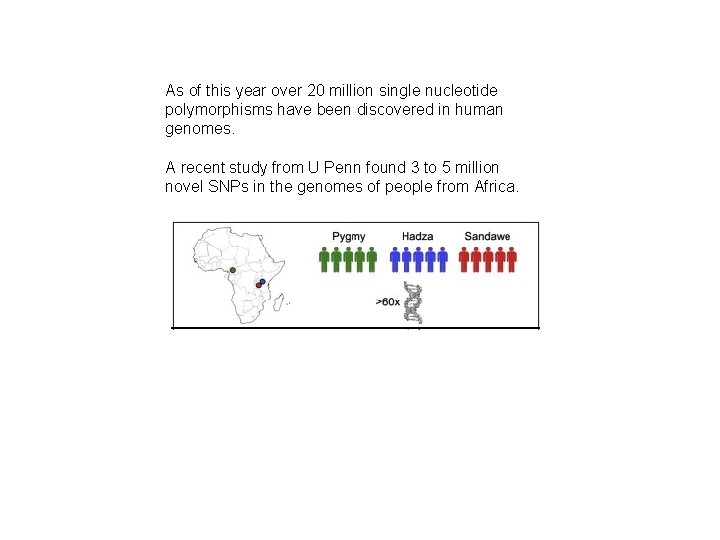 As of this year over 20 million single nucleotide polymorphisms have been discovered in