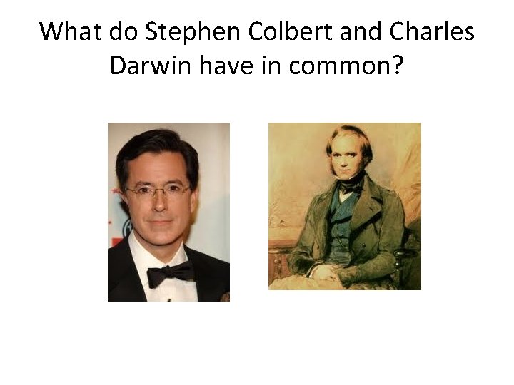 What do Stephen Colbert and Charles Darwin have in common? 