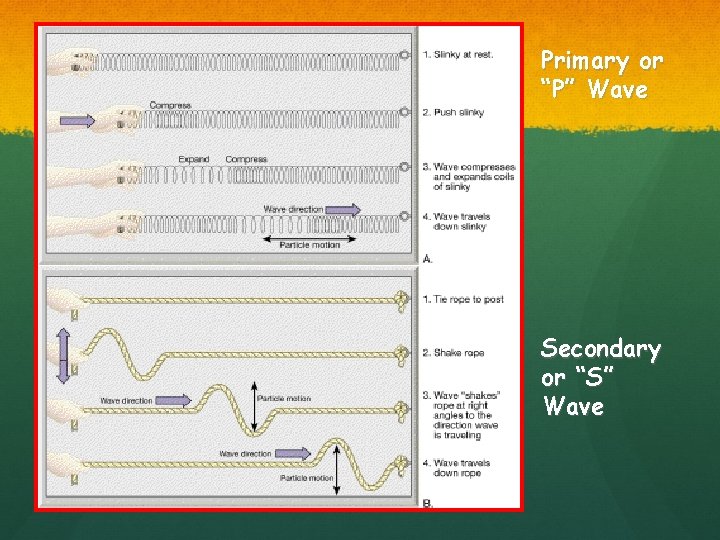 Primary or “P” Wave Secondary or “S” Wave 