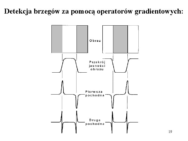 Detekcja brzegów za pomocą operatorów gradientowych: 19 