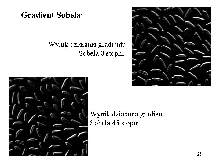 Gradient Sobela: Wynik działania gradientu Sobela 0 stopni: Wynik działania gradientu Sobela 45 stopni