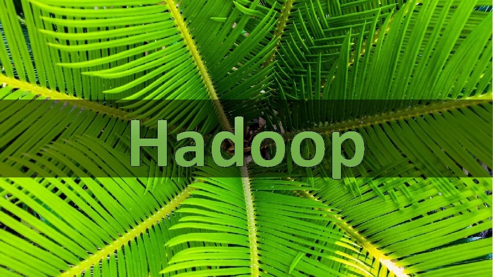 Hadoop 