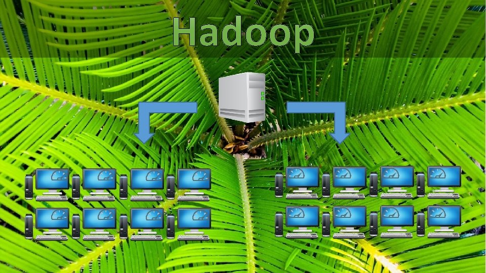 Hadoop 