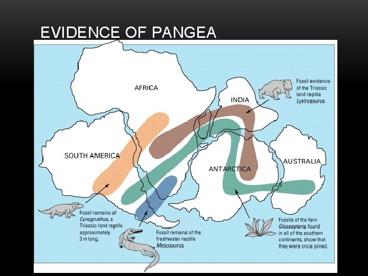 EVIDENCE OF PANGEA 
