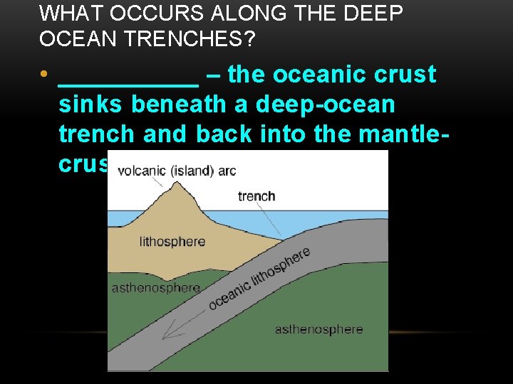 WHAT OCCURS ALONG THE DEEP OCEAN TRENCHES? • _____ – the oceanic crust sinks
