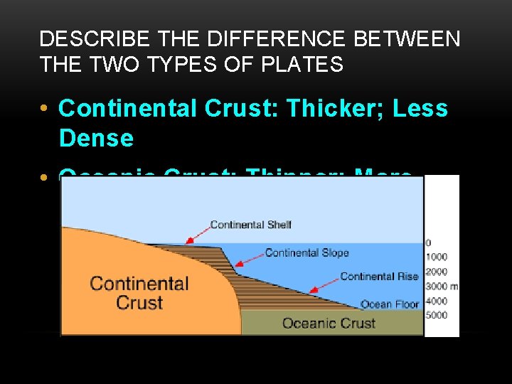 DESCRIBE THE DIFFERENCE BETWEEN THE TWO TYPES OF PLATES • Continental Crust: Thicker; Less