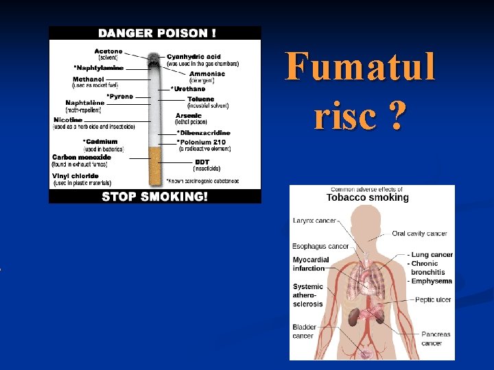 ? Fumatul risc ? 